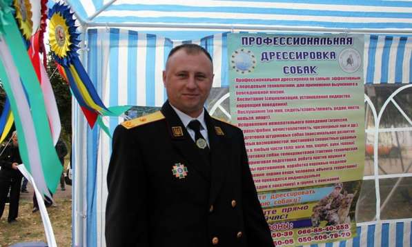 Кинолог с опытом работы предлагает свои услуги в