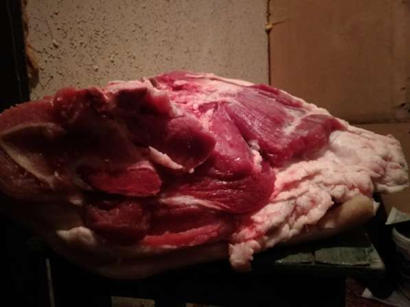 Свинина в полутушах и разделанная в Подольске фото 4