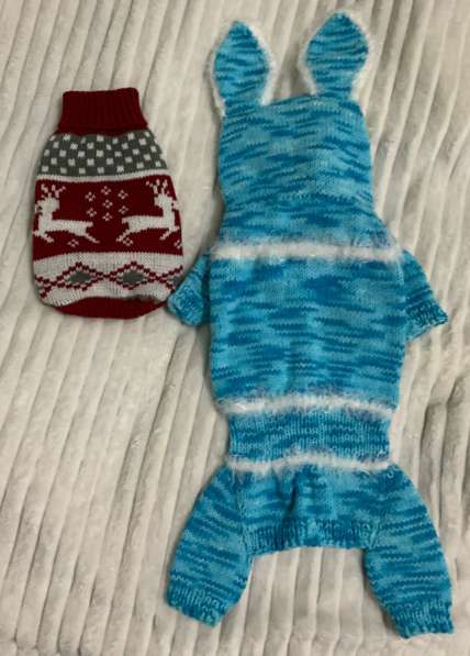 Одежда для собак в Омске фото 9