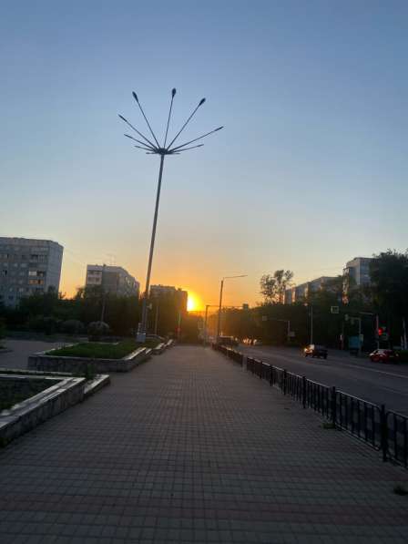Могу выгуливать собак
