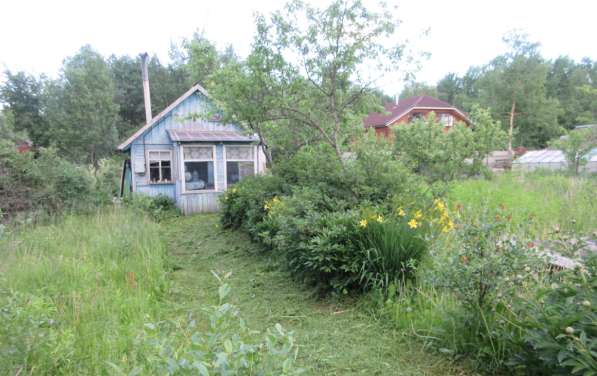 Участок 8 сот. (СНТ, ДНП) в Пскове фото 6