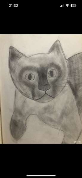 Рисунок вашего питомца