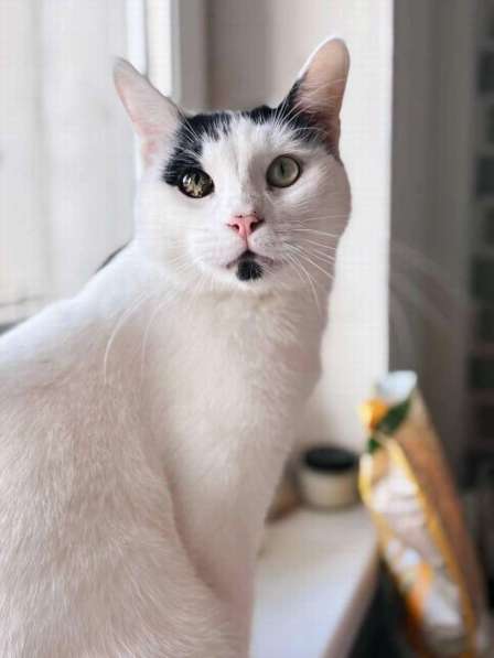 Йогурт — не про еду, а про любовь! в Москве