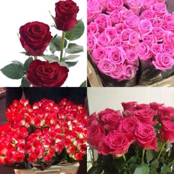 Круглосуточная доставка цветов. Розы от 59 руб в Самаре