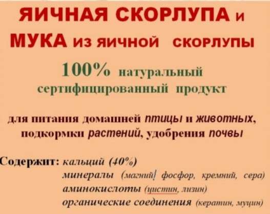 Скорлупа яичная в Саранске фото 3