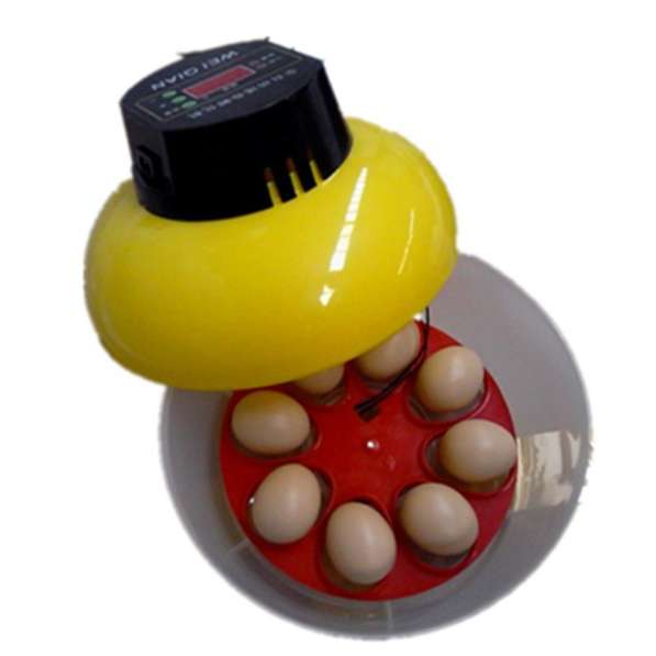 ✔Автоматический инкубатор 8 - 32 яиц с переворот и влажность в Астрахани фото 7