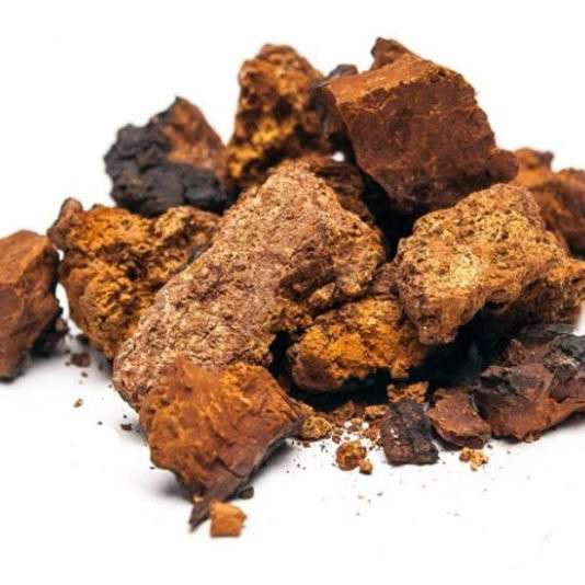 Продам Чагу в Томске фото 9