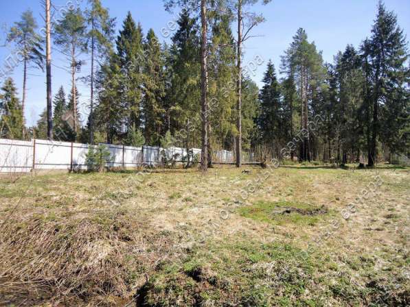 realty_mapper3.plot_in_locationСадовое некоммерческое тов-во. Площадь 20.00 сот.Есть Электричество. в Москве фото 6