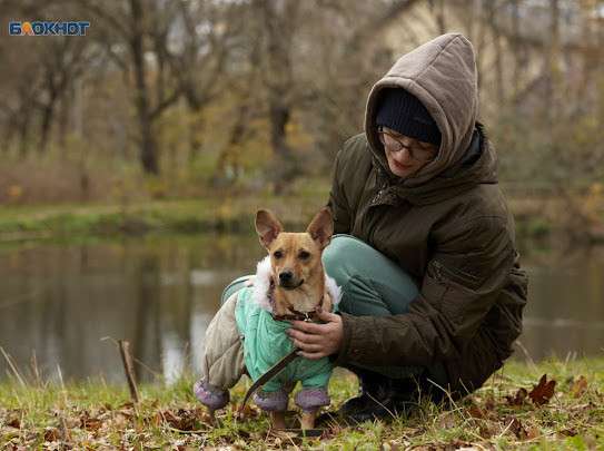 Собаки из БФПЖ Ковчег ищут дом в Ставрополе фото 5