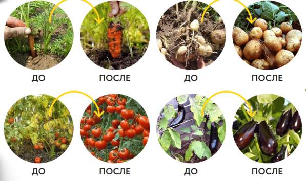 Торфогумат МДЕКО в Санкт-Петербурге