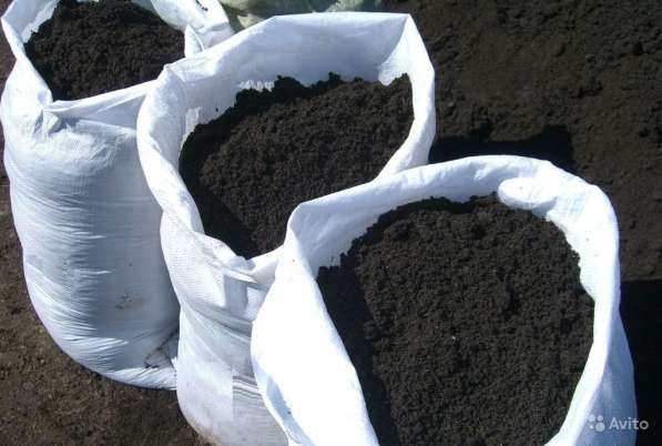 Чернозем в Симферополе