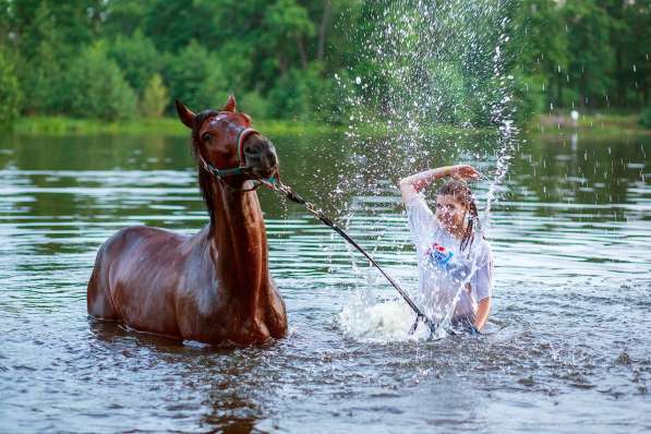 Купание с лошадьми в Нижнем Новгороде фото 3