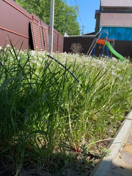 Покос травы и бурьяна триммером в Пензе фото 3