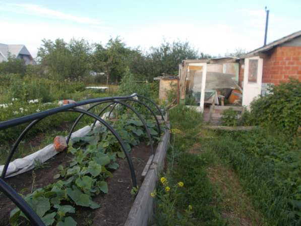 Продам сад с баней в Челябинске фото 16