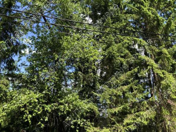 realty_mapper3.plot_in_locationИндивидуальное жилищное ст-во. Есть Газ, Водопровод. в Москве фото 3