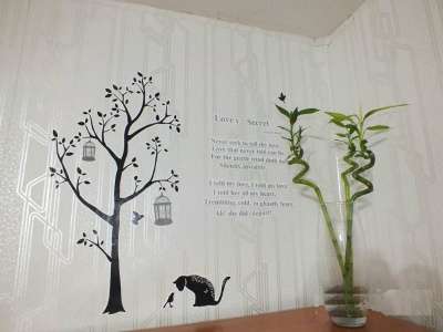 Наклейка дерево и кошка на белом фоне