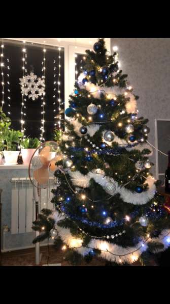 Ель 220 см(пвх)-8000₽ в Новошахтинске фото 3