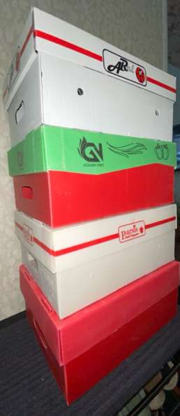 Пластиковые коробки для хранения