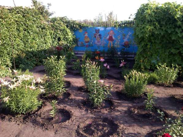 Продаю отличный садовый участок. 5 сот. 10 км. от Челябинска в Челябинске фото 16