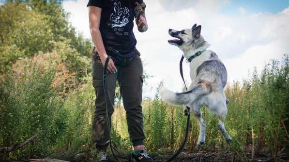 Суперактивная Халва в Москве фото 42