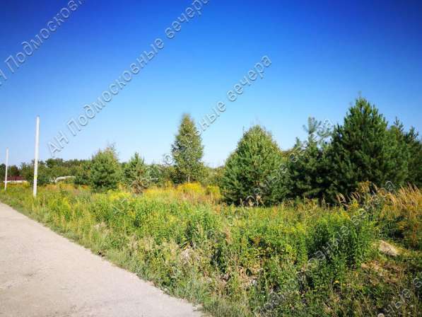 realty_mapper3.plot_in_locationСадовое некоммерческое тов-во. Площадь 12.00 сот.Есть Электричество. в Москве фото 19