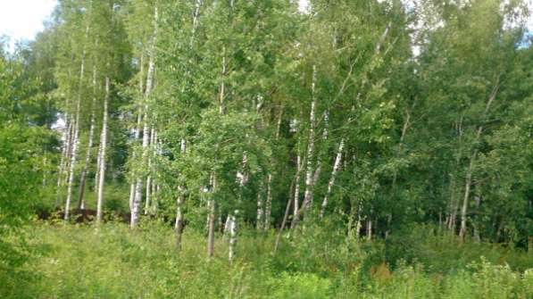 Участок в Ногинске