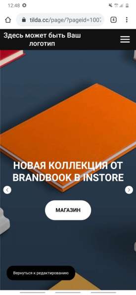 Делаю сайты в Казани фото 4