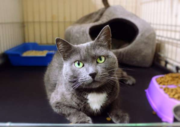 Нежная Дуся ждет путешествия домой