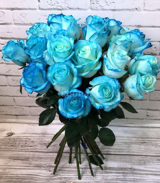 Букеты из синих роз! в Нижнем Новгороде
