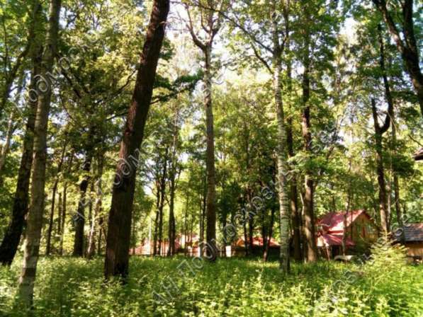 Продам коттедж в Москва.Жилая площадь 170 кв.м.Есть Газ, Водопровод. в Москве фото 36