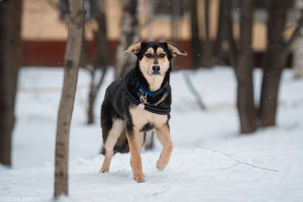 Рада &mdash; кареглазая красавица, полная любви, доброты в Москве фото 6