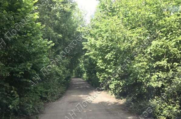 realty_mapper3.plot_in_locationПлощадь 15.00 сот.Есть Электричество, Водопровод. в Москве