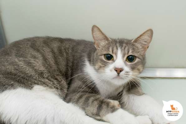 Вы запомните встречу с Алезией в Москве