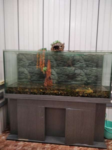 Продам аквариум в Новосибирске фото 9