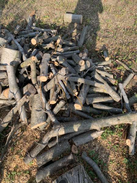 Спил деревьев в Черкесске фото 4