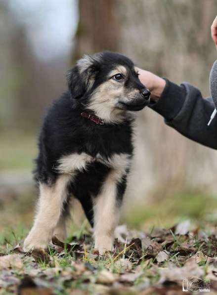 Малышка Юста ищет своих добрых людей в Калуге фото 5