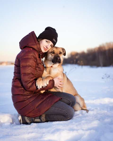 Собака в добрые руки бесплатно в Москве фото 3