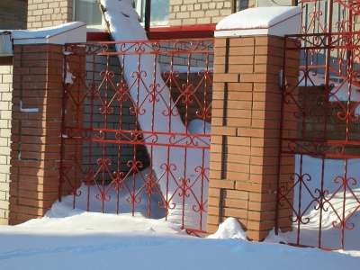 Ворота, заборы, оконные решетки в Самаре фото 3