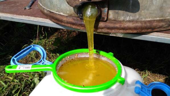 Мёд пчелиный Местный для жителей Кургана и пригорода 1,3кг в Кургане фото 13