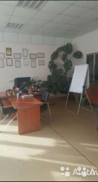 Офисное помешение 164м в Красноярске фото 6