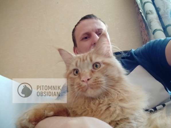 Мейн-кун продажа в Москве