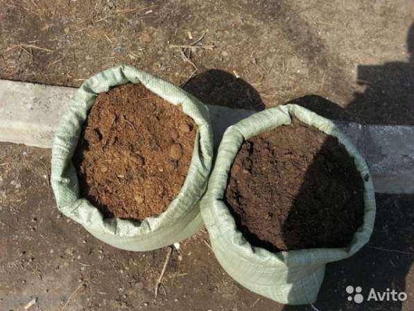 Перегной перепревший в Реутове