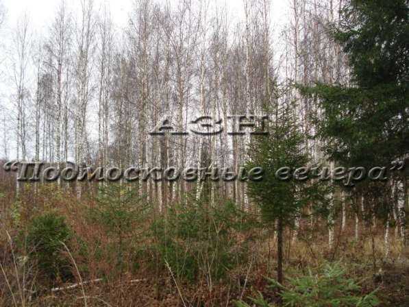 realty_mapper3.plot_in_locationСадовое некоммерческое тов-во. Площадь 7.50 сот.Есть Электричество. в Москве фото 8