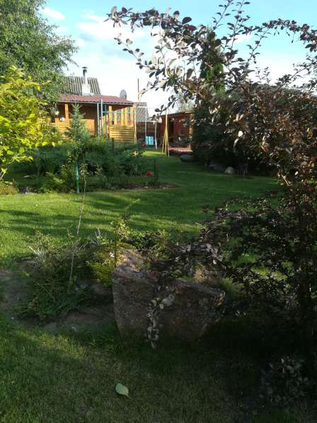 Отдых в усадьбе в фото 28