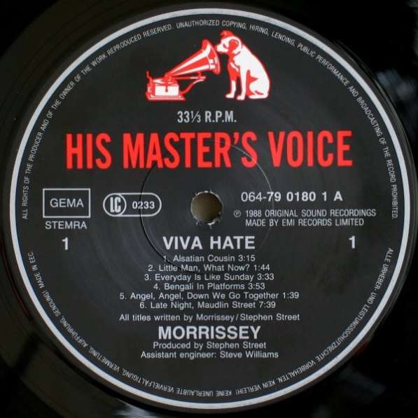 Morrissey - Viva Hate в Санкт-Петербурге фото 3