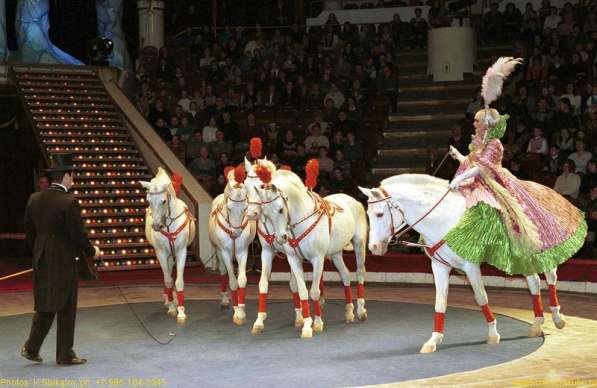 Цирк Никулина -Монте Карло в Москве фото 3