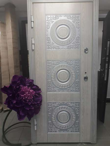 Дверь металлическая в дом с защитой от промерзания