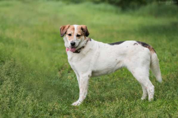 Улыбчивый лучик Фаина ищет семью в Москве фото 19