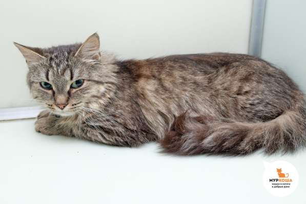 Разбитое сердце Майли в Москве