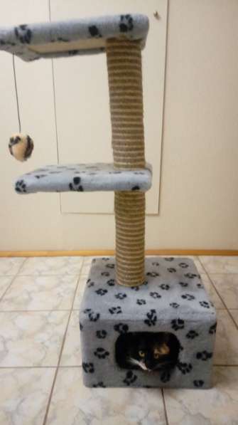 Домик-когтеточка для кошки в Твери